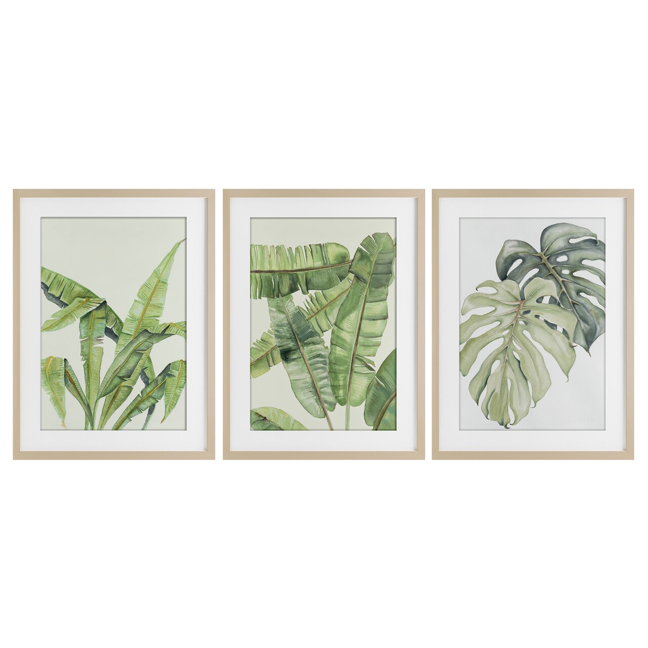 Stupell Industries Tropical Leaves Collection 3pc Framed Print Under Glass Set, design by Errico & Slyp